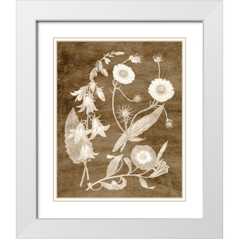 Botanical in Taupe III White Modern Wood Framed Art Print with Double Matting by Vision Studio