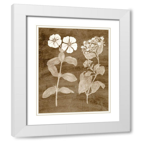 Botanical in Taupe IV White Modern Wood Framed Art Print with Double Matting by Vision Studio