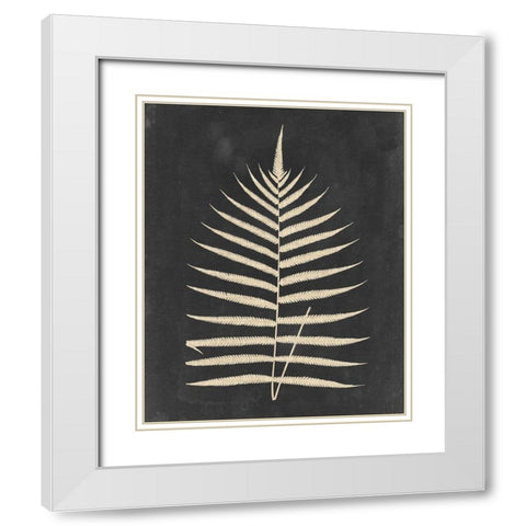 Linen Fern III White Modern Wood Framed Art Print with Double Matting by Vision Studio