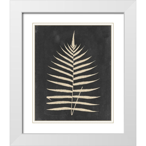 Linen Fern III White Modern Wood Framed Art Print with Double Matting by Vision Studio