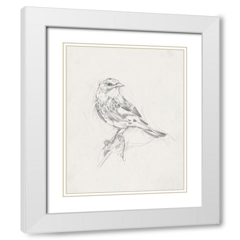 Avian StudyÂ  I White Modern Wood Framed Art Print with Double Matting by Ethan Harper