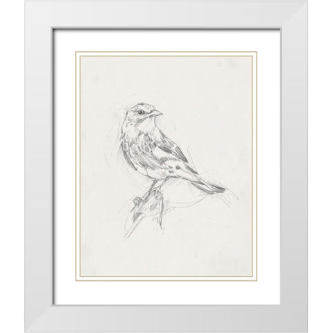 Avian StudyÂ  I White Modern Wood Framed Art Print with Double Matting by Ethan Harper
