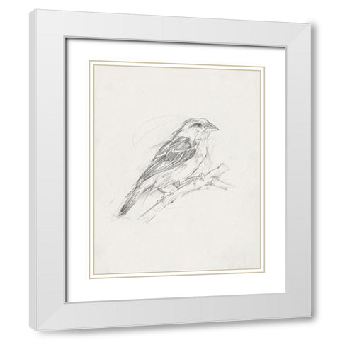 Avian StudyÂ  II White Modern Wood Framed Art Print with Double Matting by Ethan Harper