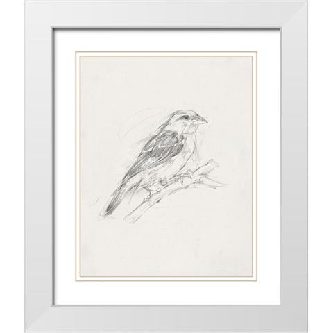 Avian StudyÂ  II White Modern Wood Framed Art Print with Double Matting by Ethan Harper