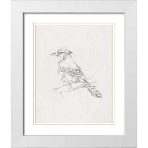 Avian StudyÂ  IV White Modern Wood Framed Art Print with Double Matting by Ethan Harper