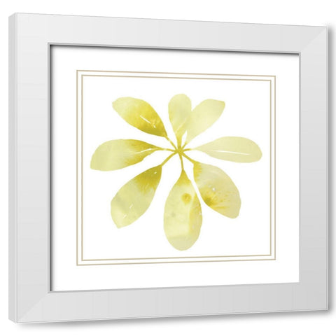 Prisma Tropical V White Modern Wood Framed Art Print with Double Matting by Vess, June Erica