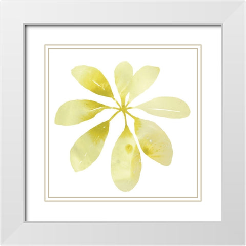Prisma Tropical V White Modern Wood Framed Art Print with Double Matting by Vess, June Erica