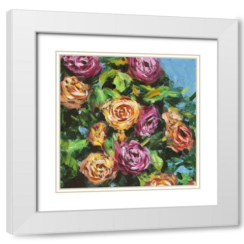 Roses in Sunlight I White Modern Wood Framed Art Print with Double Matting by Wang, Melissa