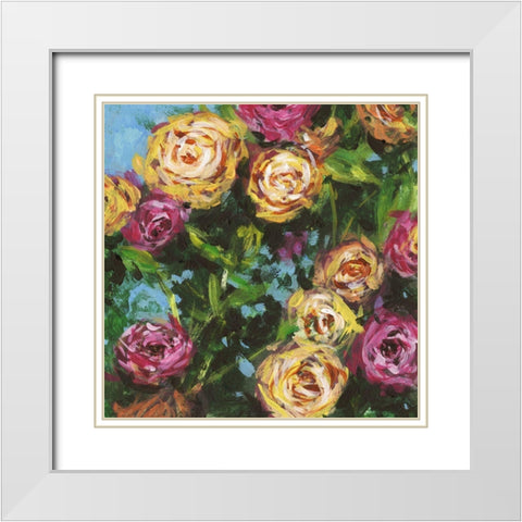 Roses in Sunlight II White Modern Wood Framed Art Print with Double Matting by Wang, Melissa