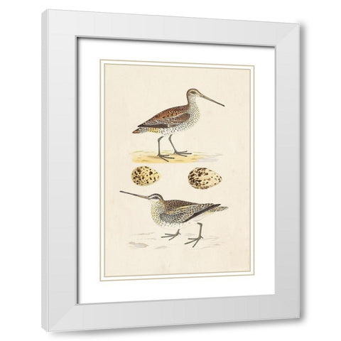 Sandpipers and Eggs III White Modern Wood Framed Art Print with Double Matting by Morris