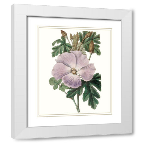 Lavender Beauties I White Modern Wood Framed Art Print with Double Matting by Edwards
