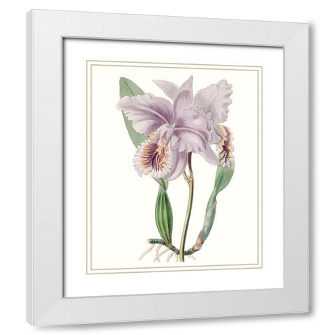 Lavender Beauties II White Modern Wood Framed Art Print with Double Matting by Edwards