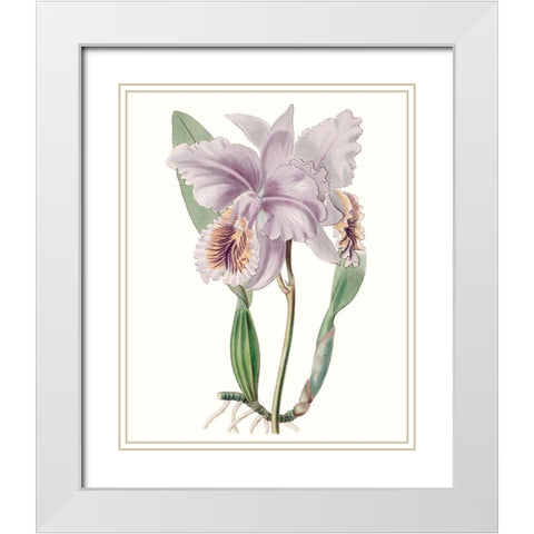 Lavender Beauties II White Modern Wood Framed Art Print with Double Matting by Edwards