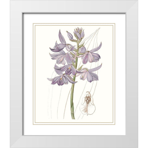 Lavender Beauties III White Modern Wood Framed Art Print with Double Matting by Edwards