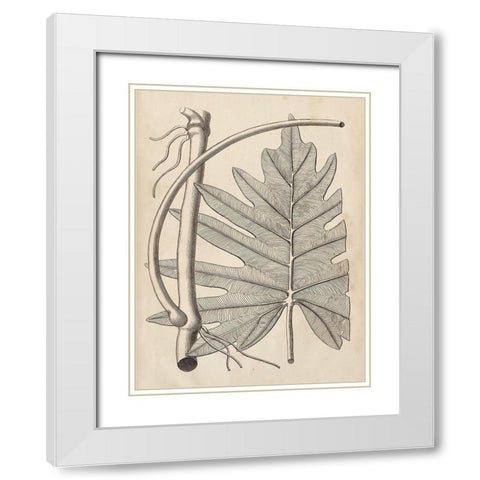 Distinctive Leaves I White Modern Wood Framed Art Print with Double Matting by Vision Studio