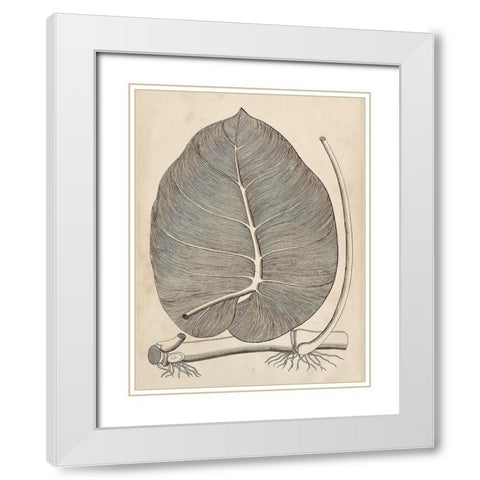 Distinctive Leaves II White Modern Wood Framed Art Print with Double Matting by Vision Studio