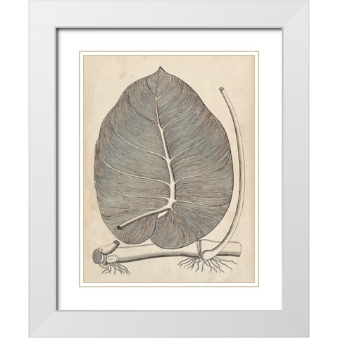 Distinctive Leaves II White Modern Wood Framed Art Print with Double Matting by Vision Studio