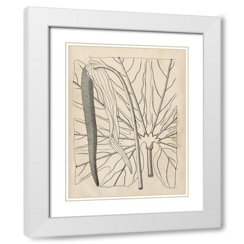 Distinctive Leaves IV White Modern Wood Framed Art Print with Double Matting by Vision Studio