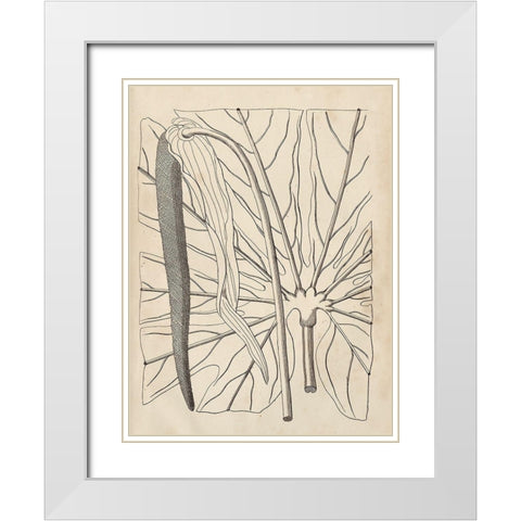 Distinctive Leaves IV White Modern Wood Framed Art Print with Double Matting by Vision Studio