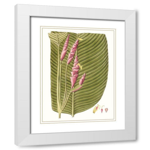 Leaves of the Tropics I White Modern Wood Framed Art Print with Double Matting by Vision Studio