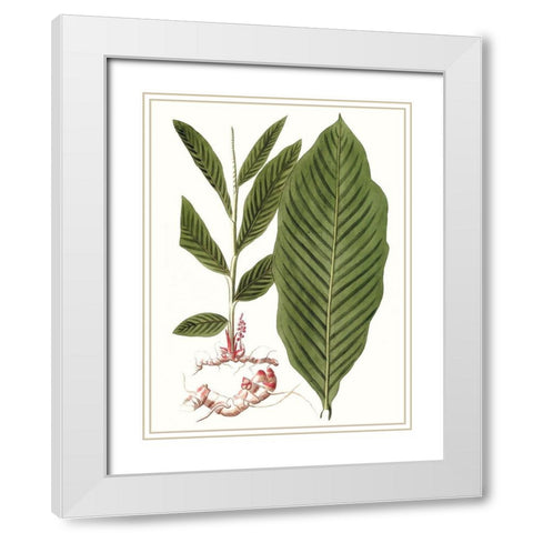 Leaves of the Tropics IV White Modern Wood Framed Art Print with Double Matting by Vision Studio