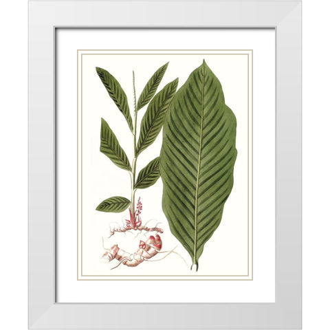 Leaves of the Tropics IV White Modern Wood Framed Art Print with Double Matting by Vision Studio