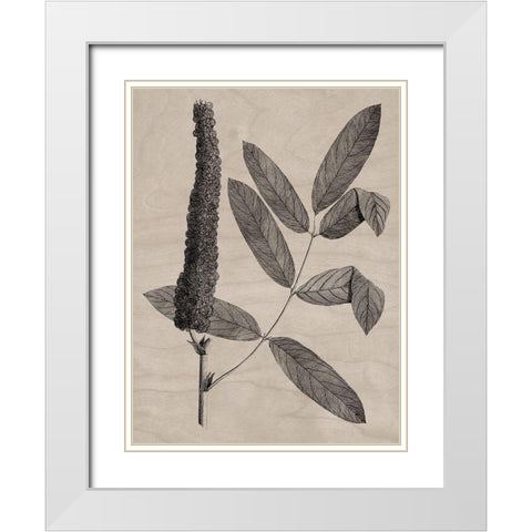 Eloquent Leaves I White Modern Wood Framed Art Print with Double Matting by Vision Studio