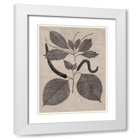 Eloquent Leaves II White Modern Wood Framed Art Print with Double Matting by Vision Studio