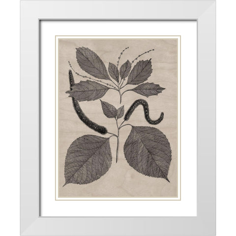 Eloquent Leaves II White Modern Wood Framed Art Print with Double Matting by Vision Studio