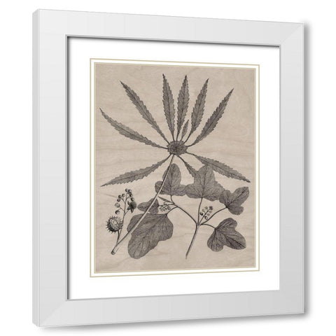 Eloquent Leaves III White Modern Wood Framed Art Print with Double Matting by Vision Studio