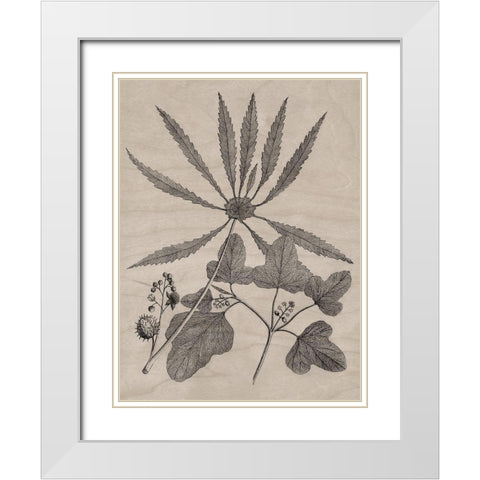 Eloquent Leaves III White Modern Wood Framed Art Print with Double Matting by Vision Studio