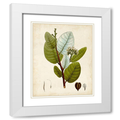 Verdant Foliage I White Modern Wood Framed Art Print with Double Matting by Vision Studio