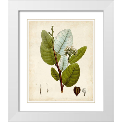 Verdant Foliage I White Modern Wood Framed Art Print with Double Matting by Vision Studio