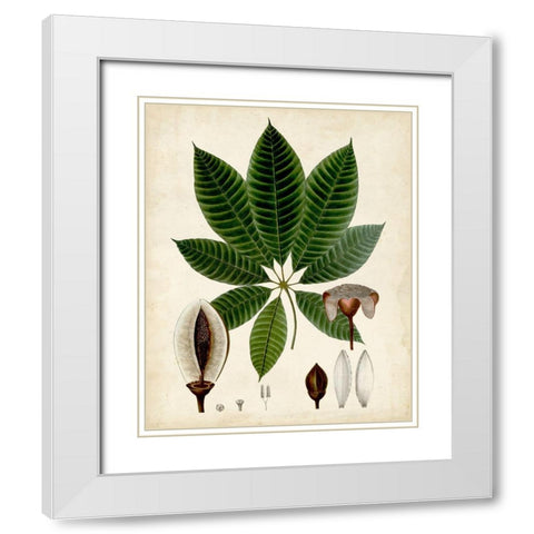 Verdant Foliage VII White Modern Wood Framed Art Print with Double Matting by Vision Studio