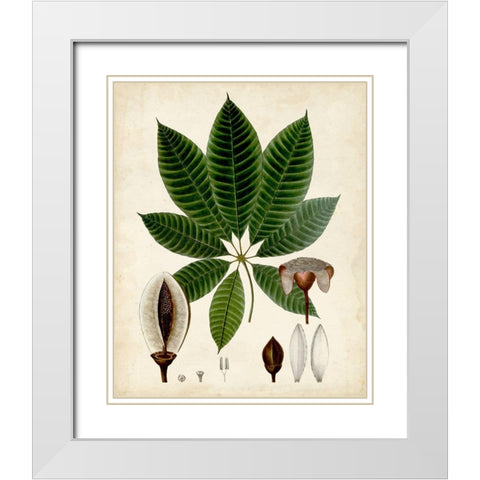 Verdant Foliage VII White Modern Wood Framed Art Print with Double Matting by Vision Studio
