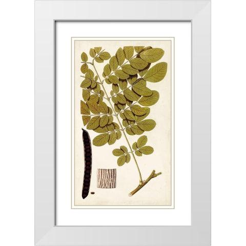 Leaf Varieties I White Modern Wood Framed Art Print with Double Matting by Vision Studio