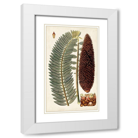 Leaf Varieties IV White Modern Wood Framed Art Print with Double Matting by Vision Studio