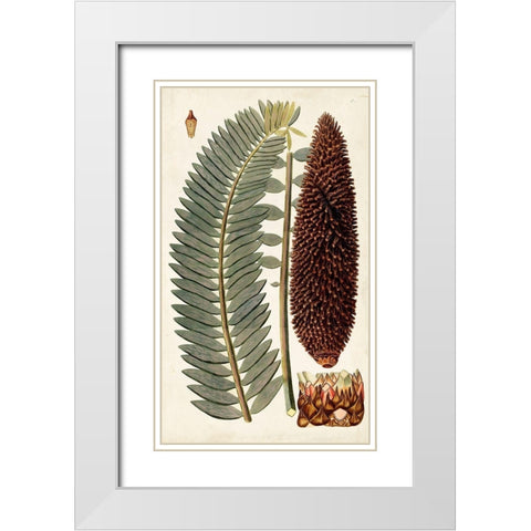 Leaf Varieties IV White Modern Wood Framed Art Print with Double Matting by Vision Studio