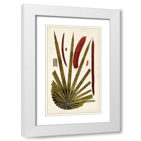 Leaf Varieties VI White Modern Wood Framed Art Print with Double Matting by Vision Studio