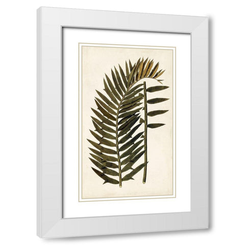 Leaf Varieties VIII White Modern Wood Framed Art Print with Double Matting by Vision Studio