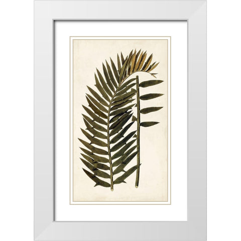 Leaf Varieties VIII White Modern Wood Framed Art Print with Double Matting by Vision Studio