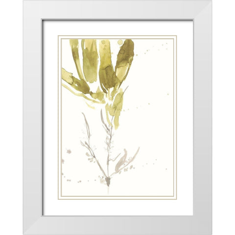 Under Sea Forest VI White Modern Wood Framed Art Print with Double Matting by Goldberger, Jennifer