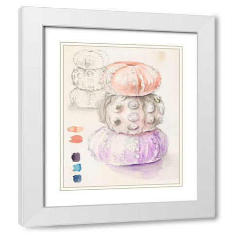 Sea Urchin Sketches I White Modern Wood Framed Art Print with Double Matting by Parker, Jennifer Paxton