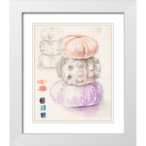 Sea Urchin Sketches I White Modern Wood Framed Art Print with Double Matting by Parker, Jennifer Paxton