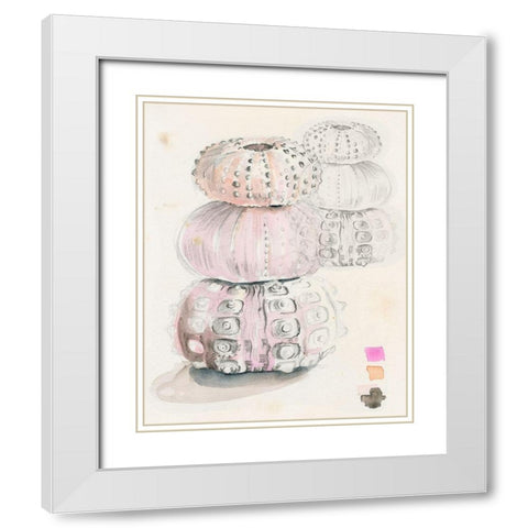 Sea Urchin Sketches II White Modern Wood Framed Art Print with Double Matting by Parker, Jennifer Paxton