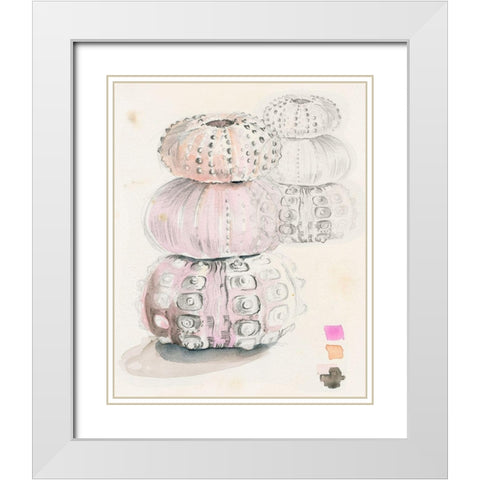 Sea Urchin Sketches II White Modern Wood Framed Art Print with Double Matting by Parker, Jennifer Paxton