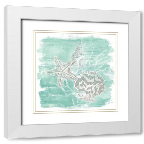 Weathered Shell Assortment II White Modern Wood Framed Art Print with Double Matting by Vess, June Erica