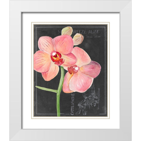 Chalkboard Flower I White Modern Wood Framed Art Print with Double Matting by Parker, Jennifer Paxton