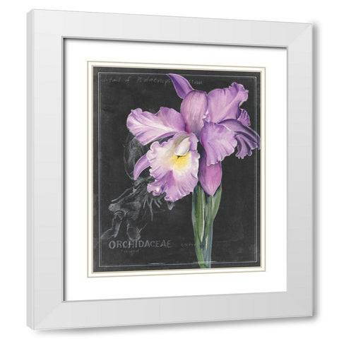Chalkboard Flower II White Modern Wood Framed Art Print with Double Matting by Parker, Jennifer Paxton