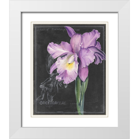 Chalkboard Flower II White Modern Wood Framed Art Print with Double Matting by Parker, Jennifer Paxton